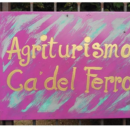 Agriturismo Ca' Del Ferro Zevio Ngoại thất bức ảnh