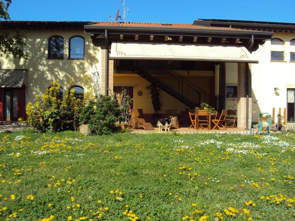 Agriturismo Ca' Del Ferro Zevio Ngoại thất bức ảnh