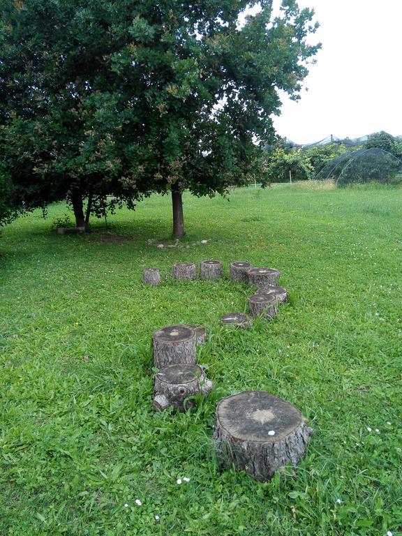 Agriturismo Ca' Del Ferro Zevio Ngoại thất bức ảnh