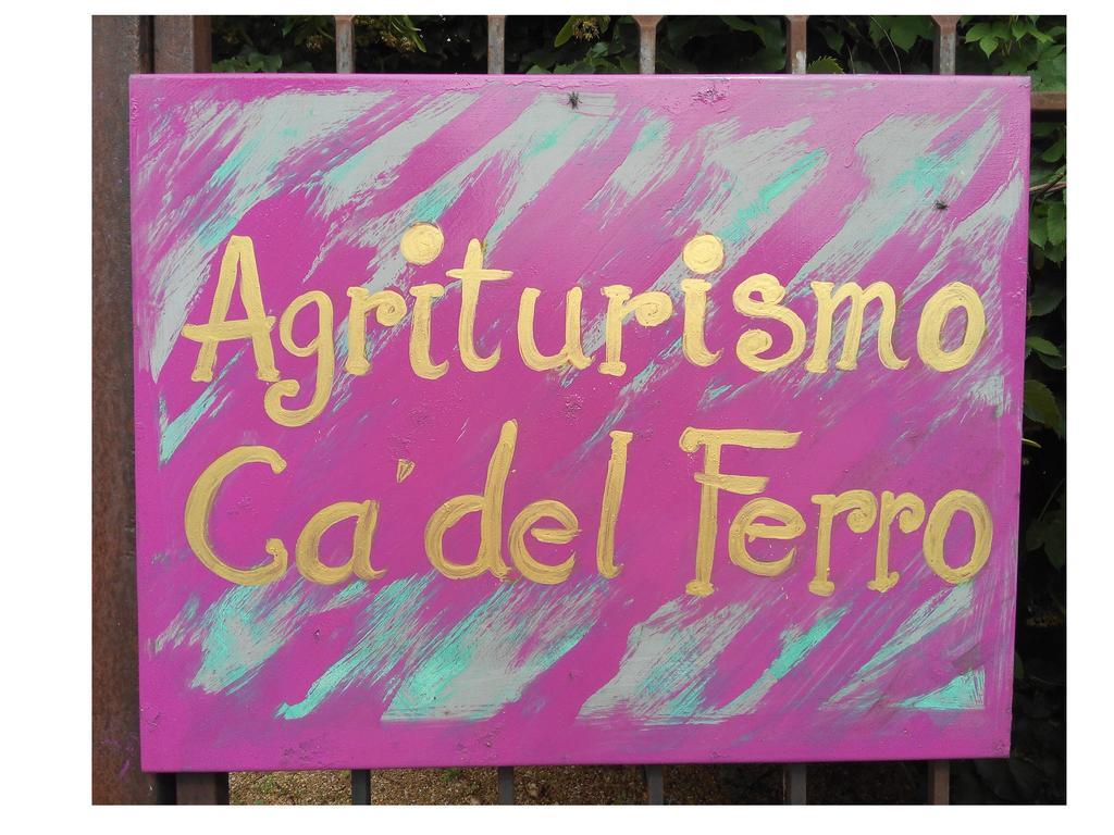 Agriturismo Ca' Del Ferro Zevio Ngoại thất bức ảnh