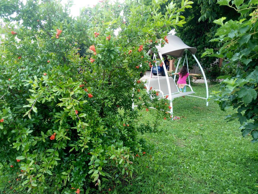 Agriturismo Ca' Del Ferro Zevio Ngoại thất bức ảnh